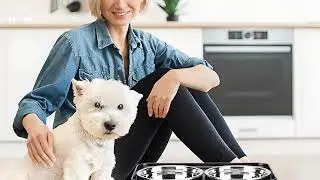 Adjustable Elevated Dog Bowls 🐶🍽️ | Perfect Feeding Station for Small & Medium Dogs!