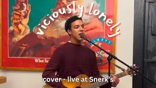 Viciously Lonely - The Backseat Lovers (Cover) - Live at Snerk's