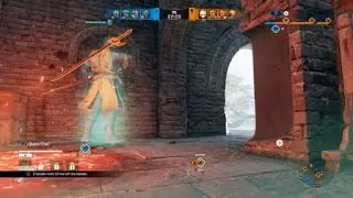 For Honor -  A Wolf? Really?