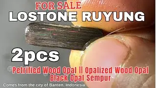 Petrified Wood Opal || Opalized Wood Opal From Indonesia City Banten, Lostone Ruyung 2pcs