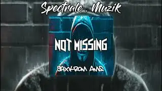 NOT MISSING - [ SAXKROM AMS ] - INDIANA 2022