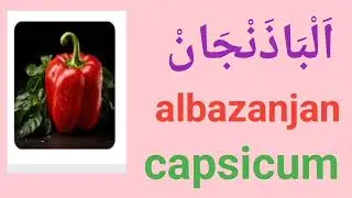 Name of vegetable in Arabic and English|Islamic prayers.tallum learning channel