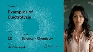 Examples of Electrolysis | ICSE 10th Chemistry