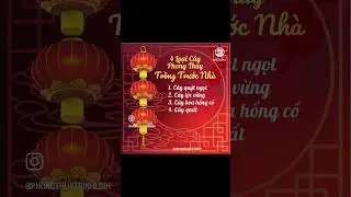 11 loại c&acirc;y đ&oacute;n t&agrave;i lộc 2024 #gemstone #daphongthuy #dathiennhien #fengshui #phongthuy