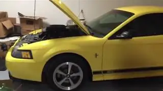 2003 mustang  mach 1 update: Radio replacement