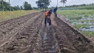 SATISFYING HIGH BED PREPARATION WITH TRADITIONAL TOOLS! -Agriculture Farming