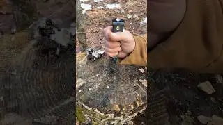 Tops B.O.B. Chopping & Tip Test #knife #bushcraft | Wild Roots