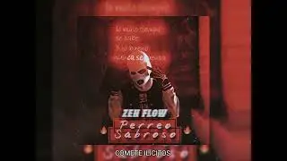 PERREO SABROSO - ZEN FLOW ( Video/Lyrick) #zenflow #reggaeton #reels #argentina