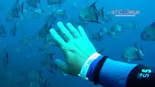 Hook-Eye Cam - Diving & Snorkeling