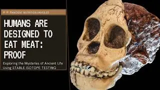 Stable Isotope Testing: Humans Are Designed To Eat Meat Fact