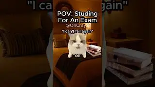 CAT MEMES 🐱 STUDYING FOR AN EXAM #relatable #cat #funny #school #shorts