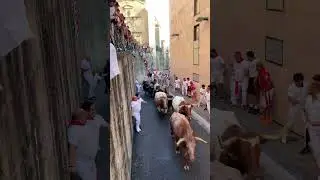 SANFERMIN, OCTAVO Y &Uacute;LTIMO ENCIERRO DE 2025 CON TOROS DE MIURA #toros #bull #sanfermin #viral