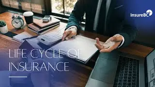 Life Cycle of Insurance