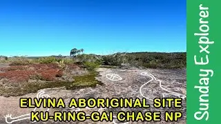 Elvina ABORIGINAL ENGRAVINGS Site, Ku-ring-gai Chase National Park, Sydney Northern Beaches