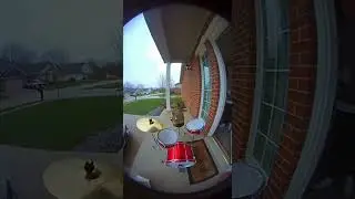 Cat plays drums 🤣🤣