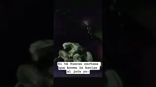 le pongo este rolon 🤑 #masterchief #halo #memes
