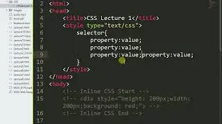 PSDF Web Design and Development CSS Lecture 1