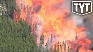 The Entire World Is Burning