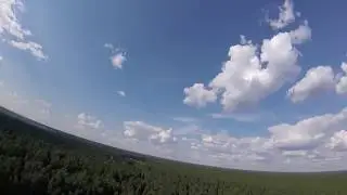 Vortex 275 FPV flight in forest