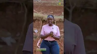 Ibibanza byiza bigurishwa muri Kigali Rebero, Plots of land for sale in Kigali Rwanda