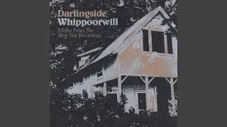 Whippoorwill