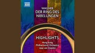 G&ouml;tterd&auml;mmerung, WWV 86D, Act III (Highlights) : Siegfrieds Trauermarsch