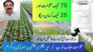 How to submit file for drip irrigation system subsidy scheme Punjab | drip irrigation system subsidy