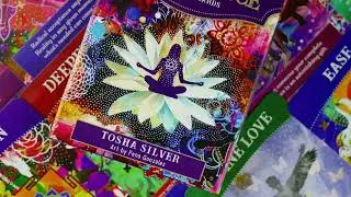Divine Abundance Oracle Cards Flip Through