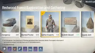 Undawn|Redwood Forest|Exploration (Gather Experts #01)