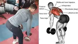 اقوى تمارين الظهر بالدمبلز كمال الاجسام best huge back workout with dumbbells