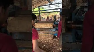 Wood debarking working big machine part 83 #viral #wood #shortvideo #woodwork