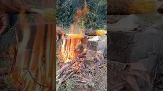 Roasted Corn Magic on Firewood! 🌽🔥 #shorts