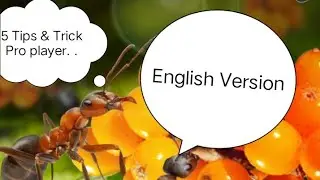 5 Tips & Trick by Pro player The Ants: Underground Kingdom. [English.Ver]