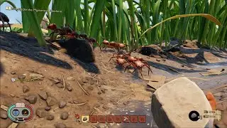 GROUNDED Xbox One X Gameplay [1080P 60FPS]