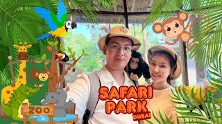 Dubai Safari Park 2025: Баруға тұра ма? Бағасы мен ережелері 2026 🐫🇦🇪