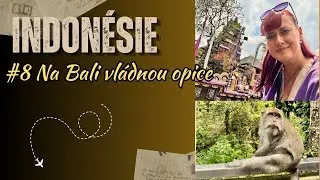 8. Bali - Ubud | Raw travel video