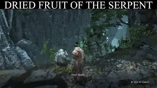 Sekiro: Dried Fruit Of The Serpent - Old Lady Quest