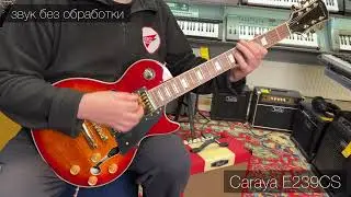 Caraya E239CS электрогитара Les Paul