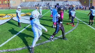8U STATE CHAMPIONSHIP UPSET 😳🔥 | #2 TTP Jaguars Shock #1 Louisville Panthers 12-0!