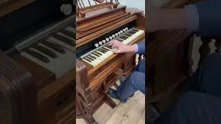 Victorian Antique Carved Walnut Reed Pump Organ