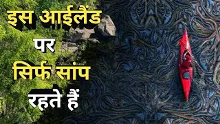Top 5 Animal Island ये है दुनिया के 5 सबसे अद्भुत आईलैंड्स, जहाँ चलता है सिर्फ जानवरों का राज।