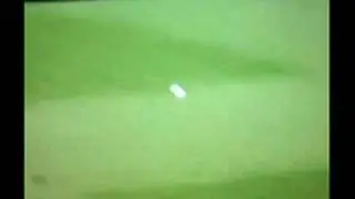 jacques rudolph kills a pigeon