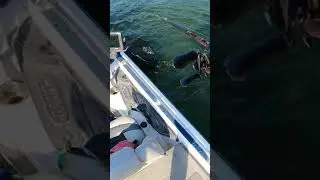 Flipping DEEP Trees for SUMMER TIME Bass