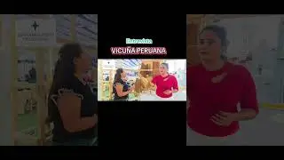 Vicu&ntilde;a peruana 