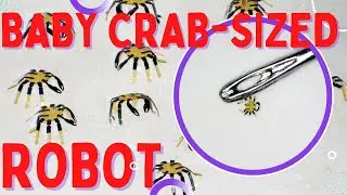This Is the World&rsquo;s Smallest Remote Controlled Robot That Looks like a Tiny Crab