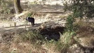 Тайная жизнь андалузского ручья: крутые склоны и сезонные водотоки. #агроэкология