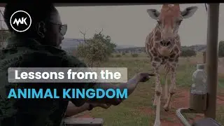 BUSINESS & LIFE LESSONS FROM THE ANIMAL KINGDOM