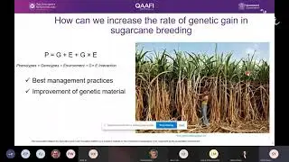 SRA webinar: Improved genomic prediction