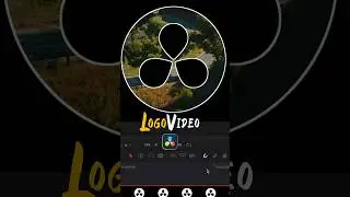 Видео с эффектом логотипа в DaVinci Resolve