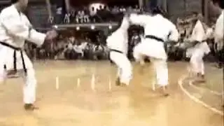 Karate Do Miyazato Qué es el Karate Tradicional?